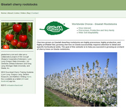 giselacherry giselacherry